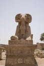 Karnak Temple, located on the eastern bank of the Nile River, opposite Luxor, the area of Ã¢â¬â¹Ã¢â¬â¹ancient Thebes